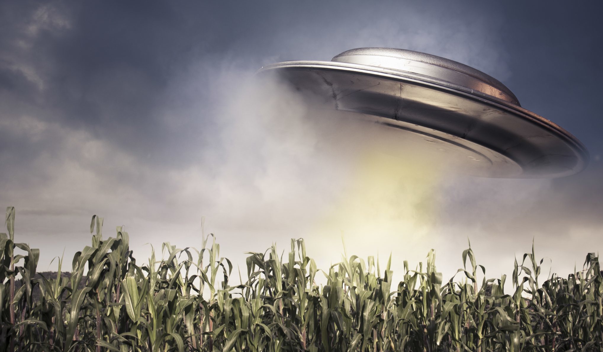 UFO hovering over a crop field