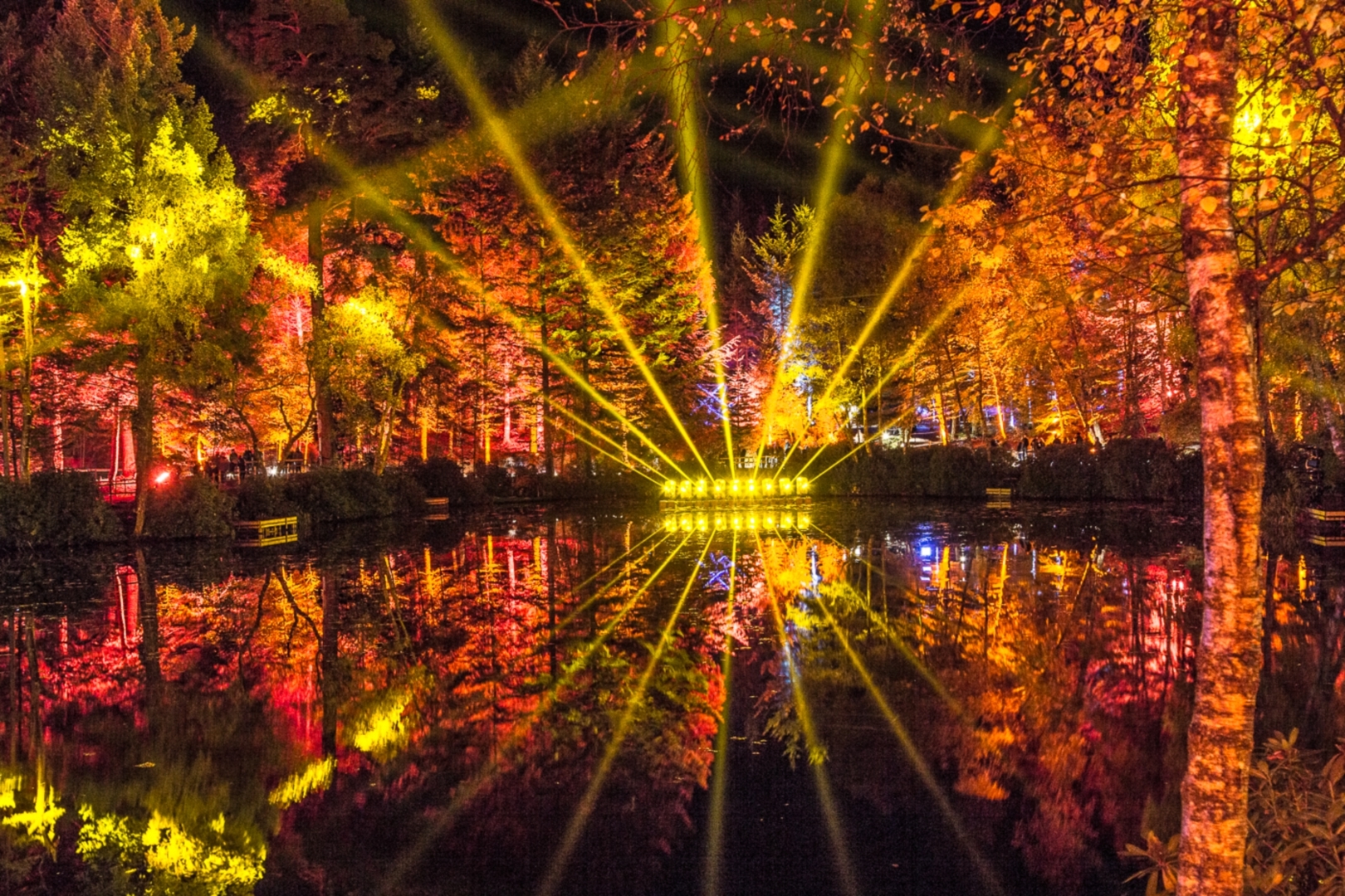 The Enchanted Forest is a feast for all the senses.