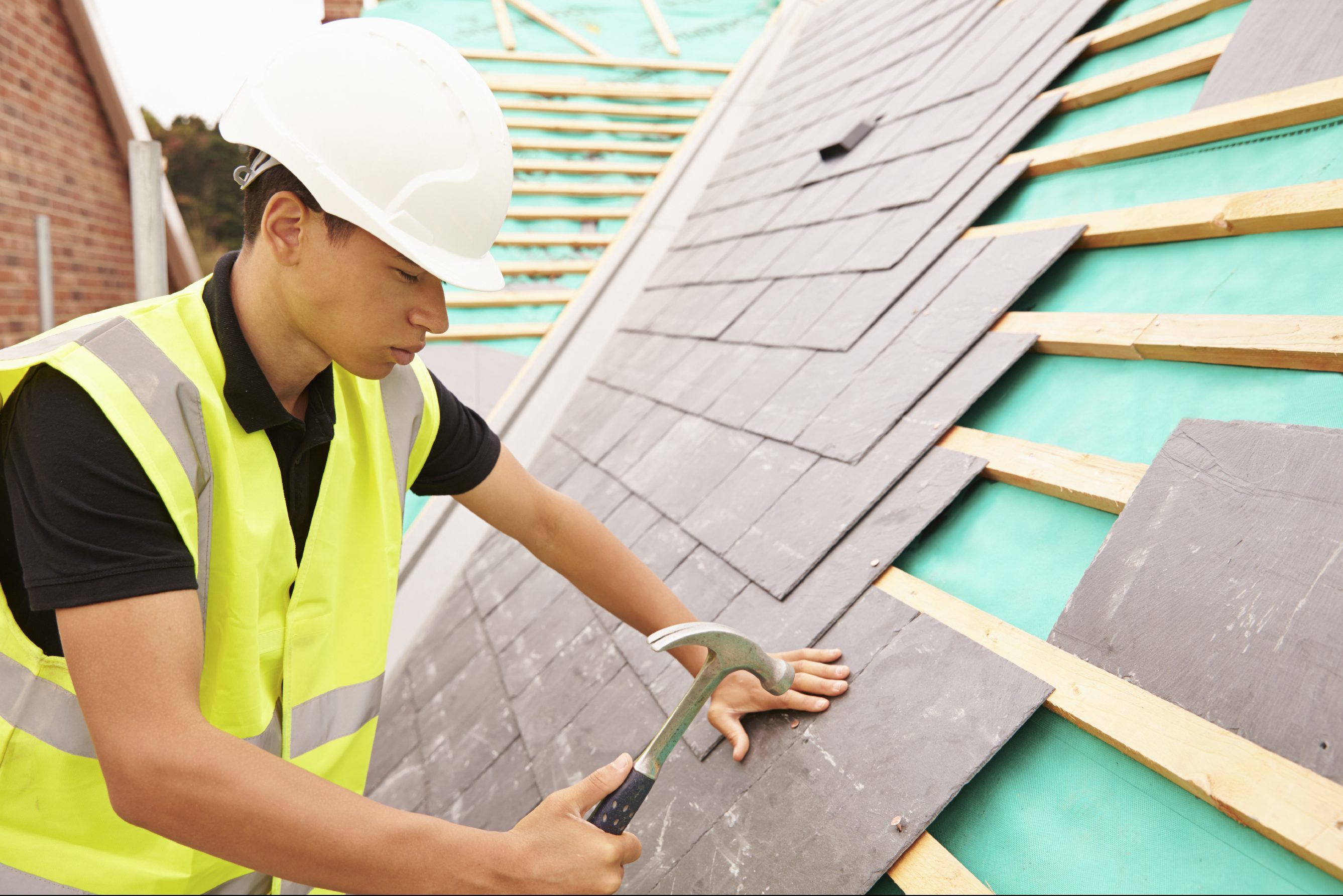 Homes for Scotland think it's taking too long for new homes to be built because of delays in the system.