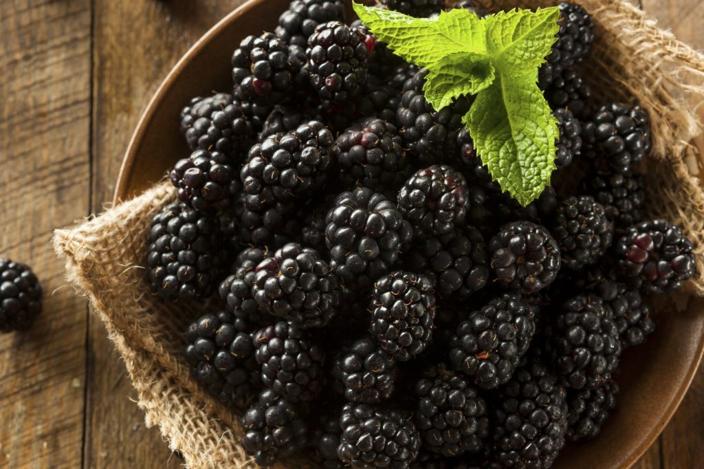 Brambles: Mother Nature's delicious freebies