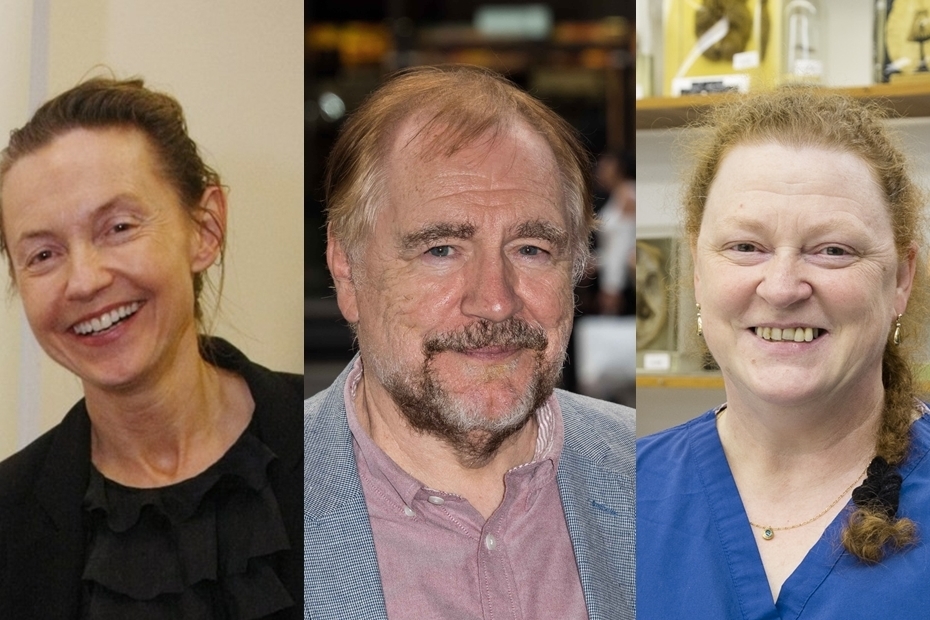 Professor Kirsty Gunn, Brian Cox, and Professor Sue Black.