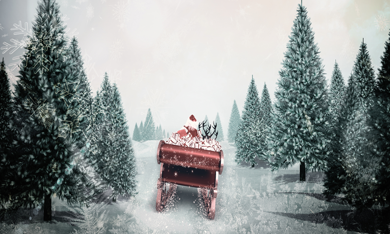 Santa Sleigh