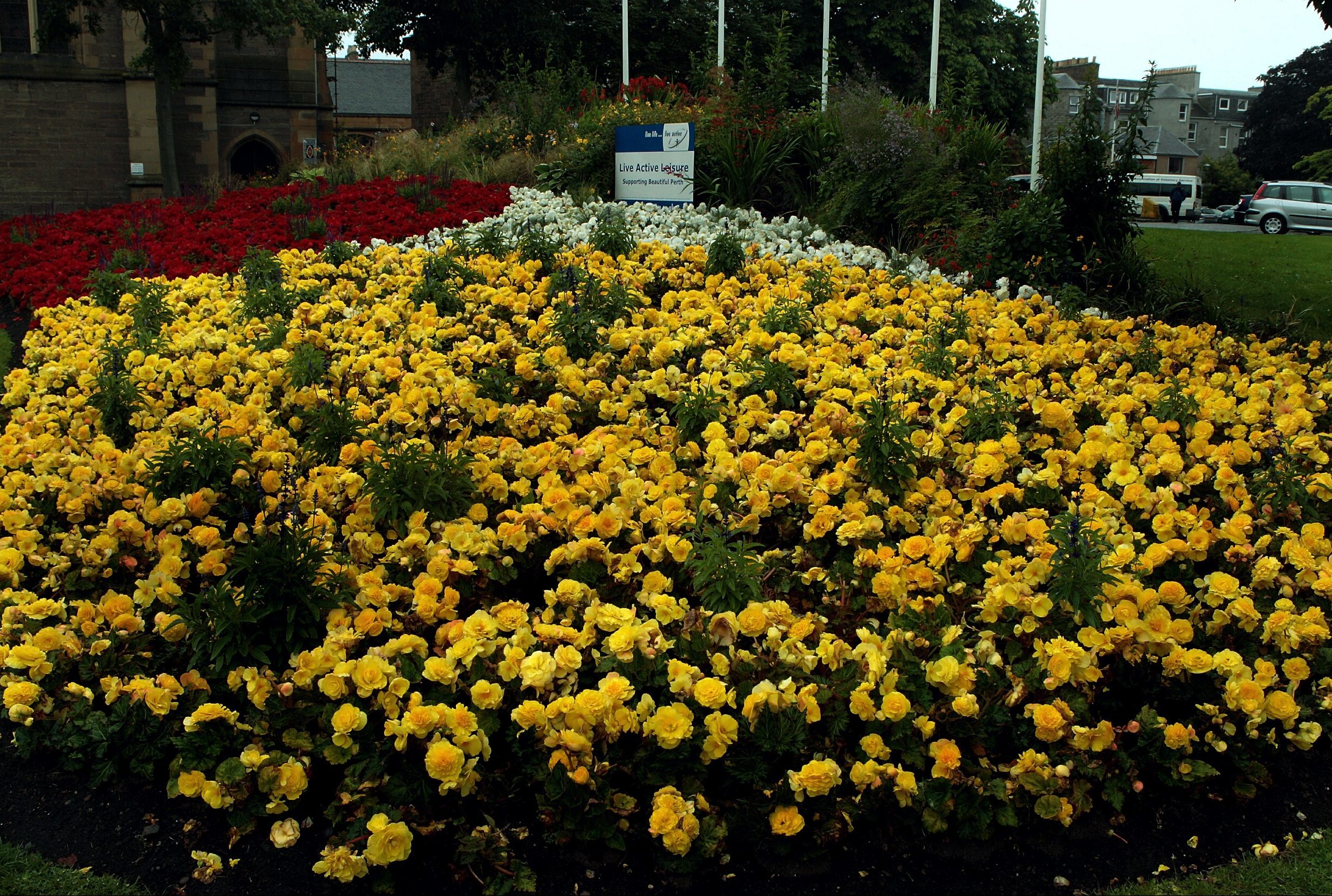 An example of Perth's floral efforts.