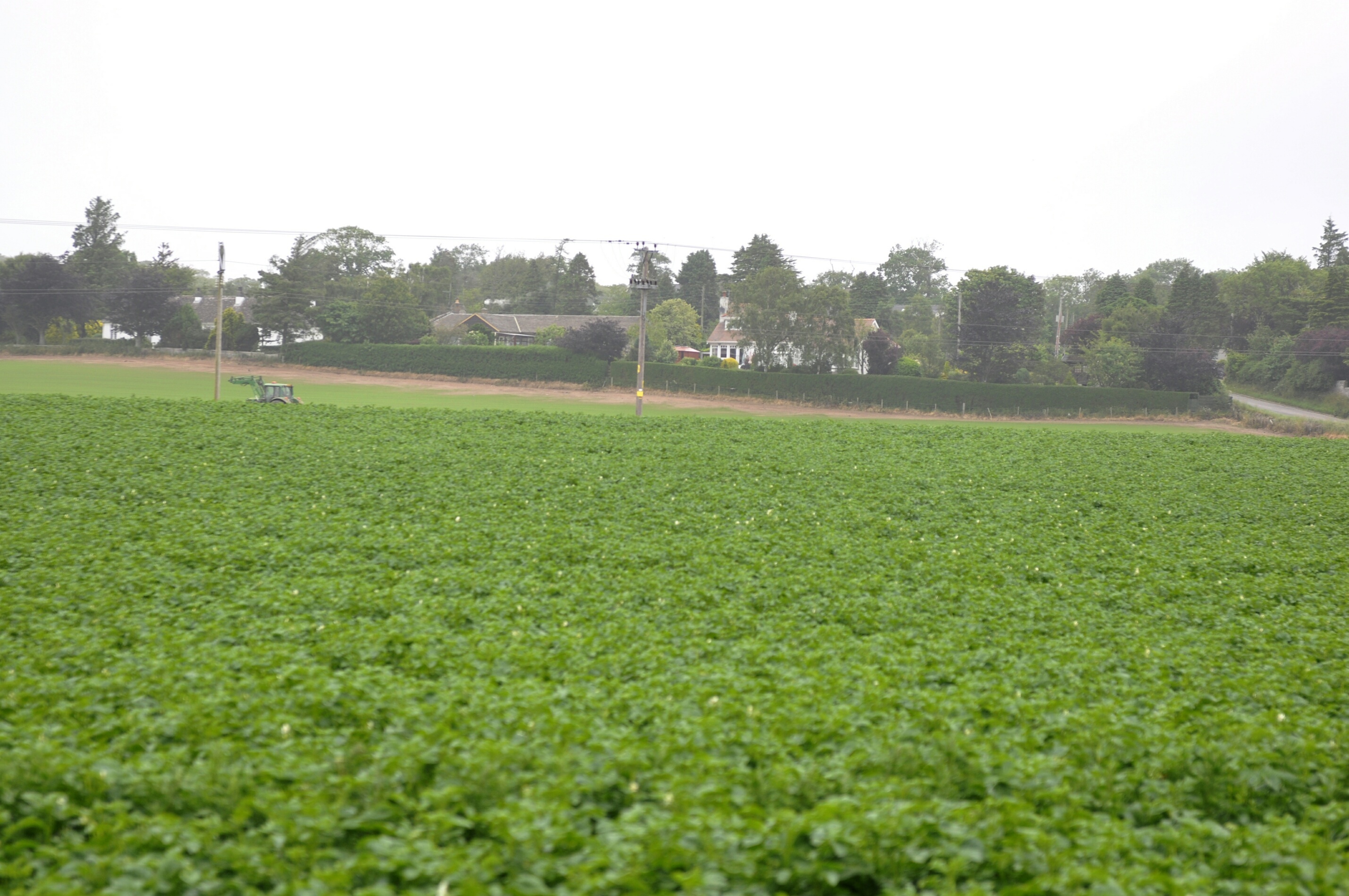 Part of the proposed Angus Estates Ltd site at Carlogie.