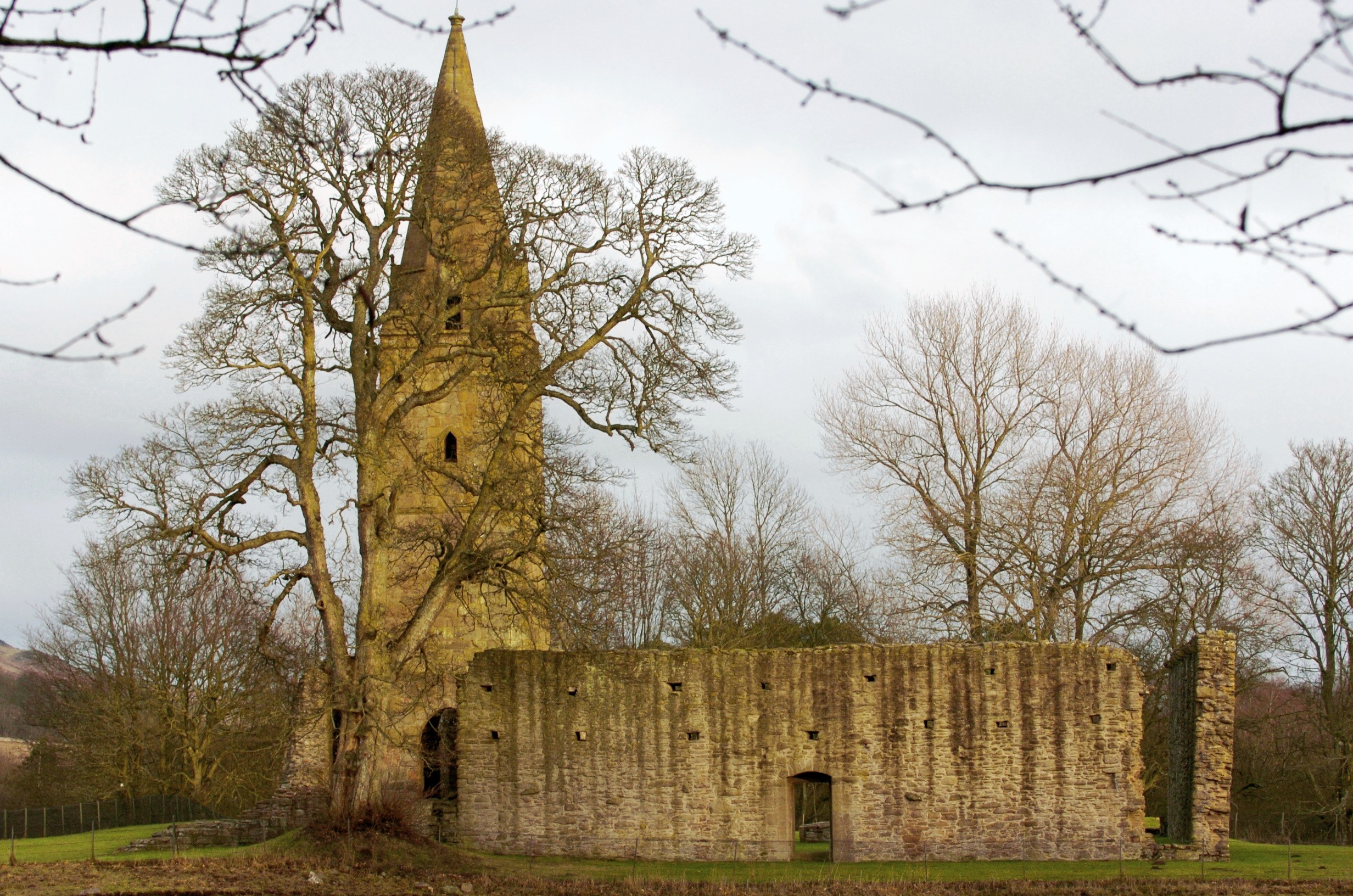 Monk-turned detective Affleck begins his sleuthing at Restenneth Priory outside Forfar