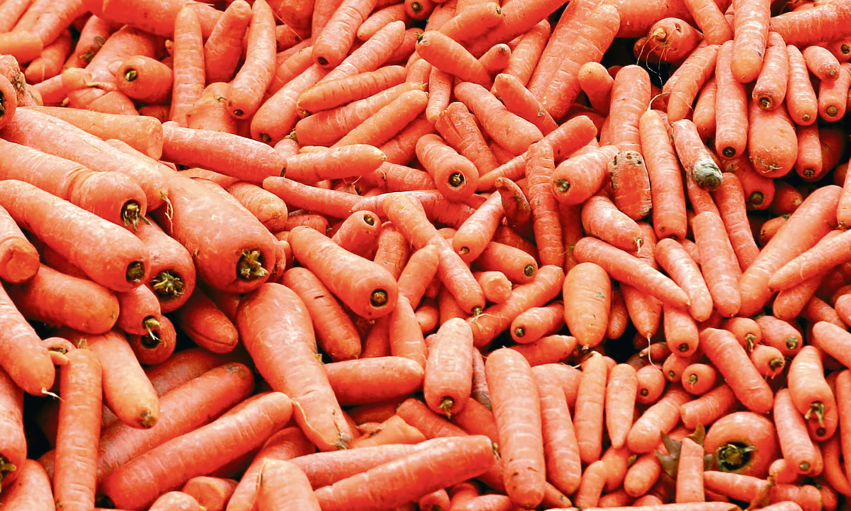 Carrots are being hidden in Dundee's school dinners. A good thing, says Mike.