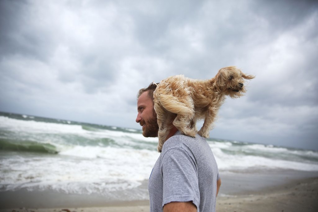Ted Houston and his dog Kermit visit the beach as Hurricane Matthew approaches in Palm Beach.