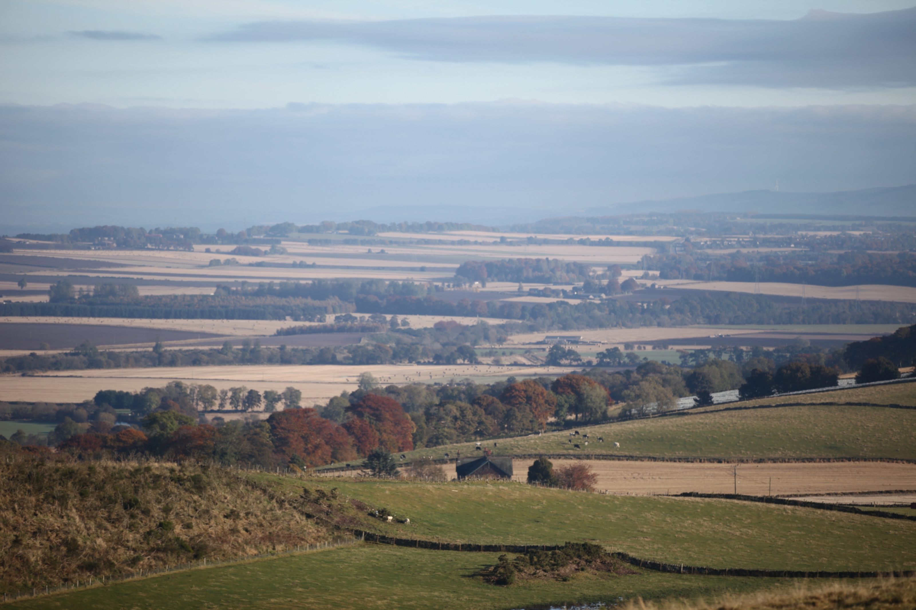 Angus - a patchwork landscape.