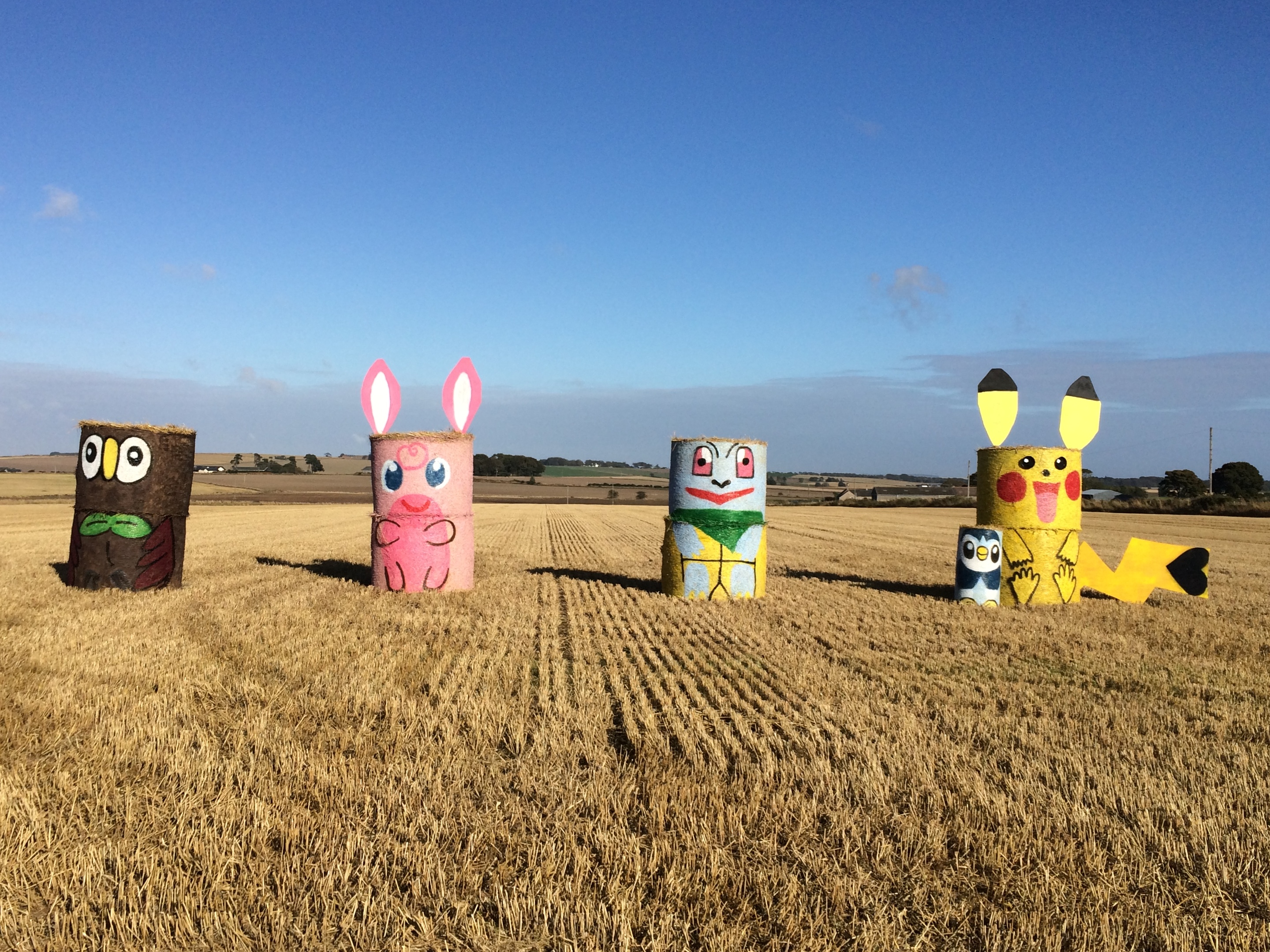 The colourful characters at East Skichen Farm in Angus