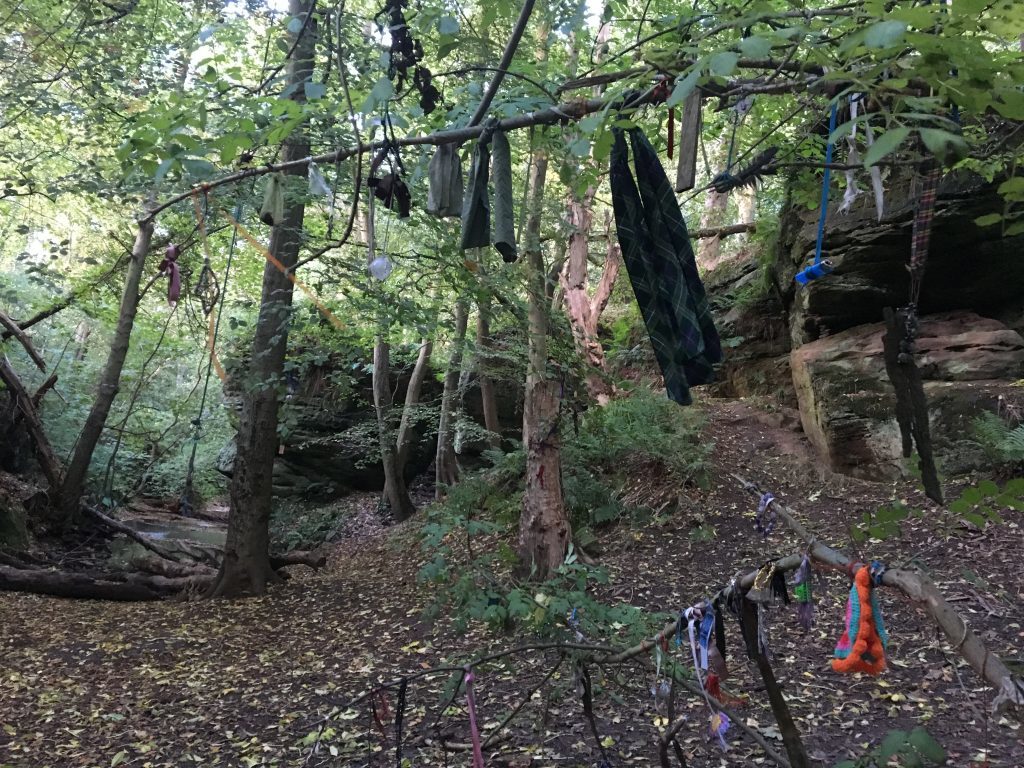 The clootie tree at Dunino Den.