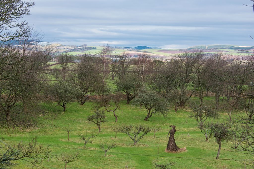 saddlers-house-falkland-20-jpg