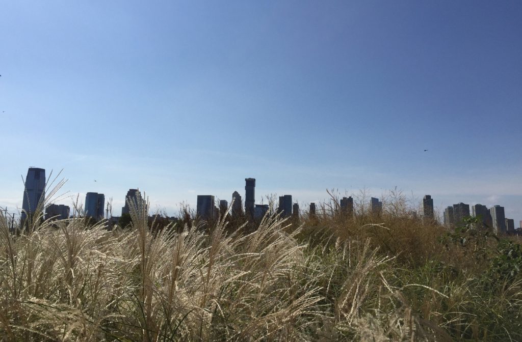 New Jersey skyline from City Vineyard in downtown Manhattan. 