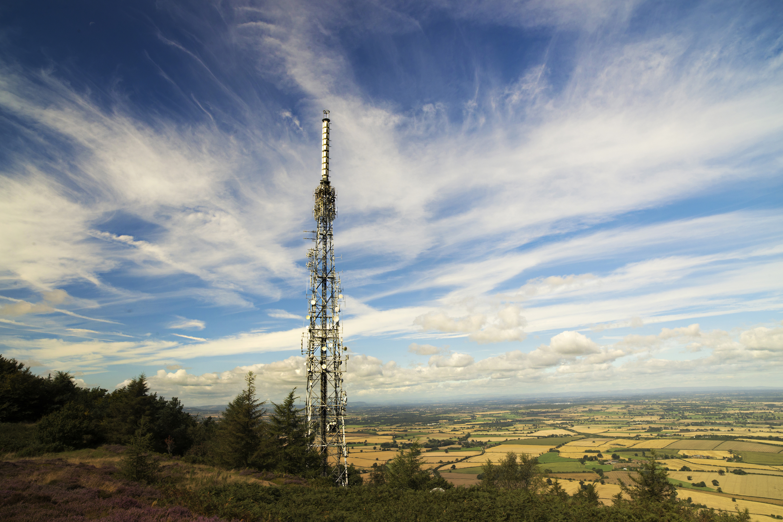 A survey shows landowners are being paid an average annual rent of £6,029 to host phone masts