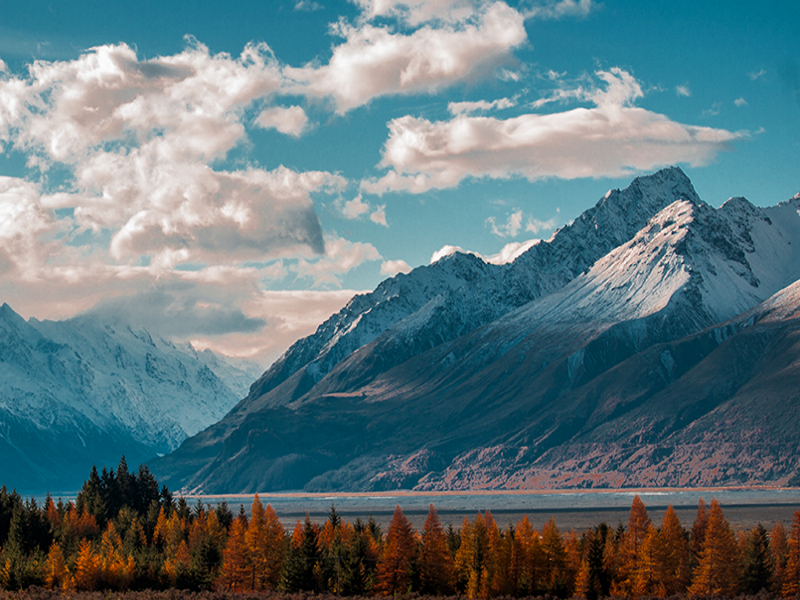 New Zealand, the land of Hobbits, rugby and feijoas.