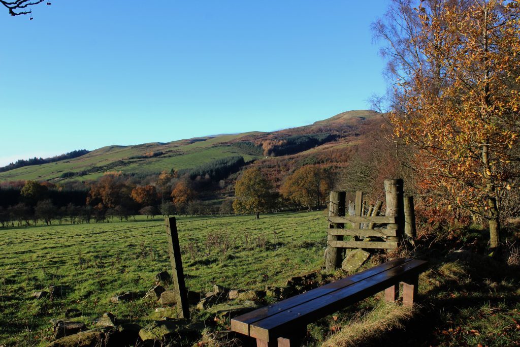 2-bench-with-a-view-in-harran-hill-wood-james-carron-take-a-hike