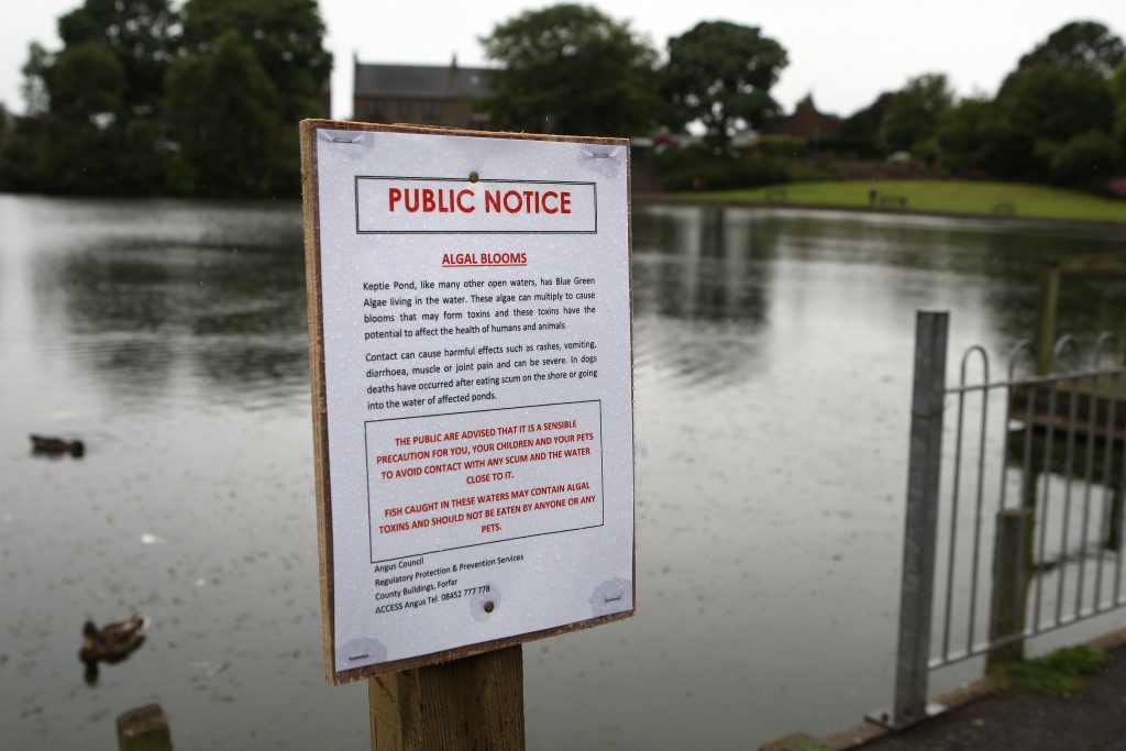 Signs warning the public of algae and dangers to pets and children in 2015.