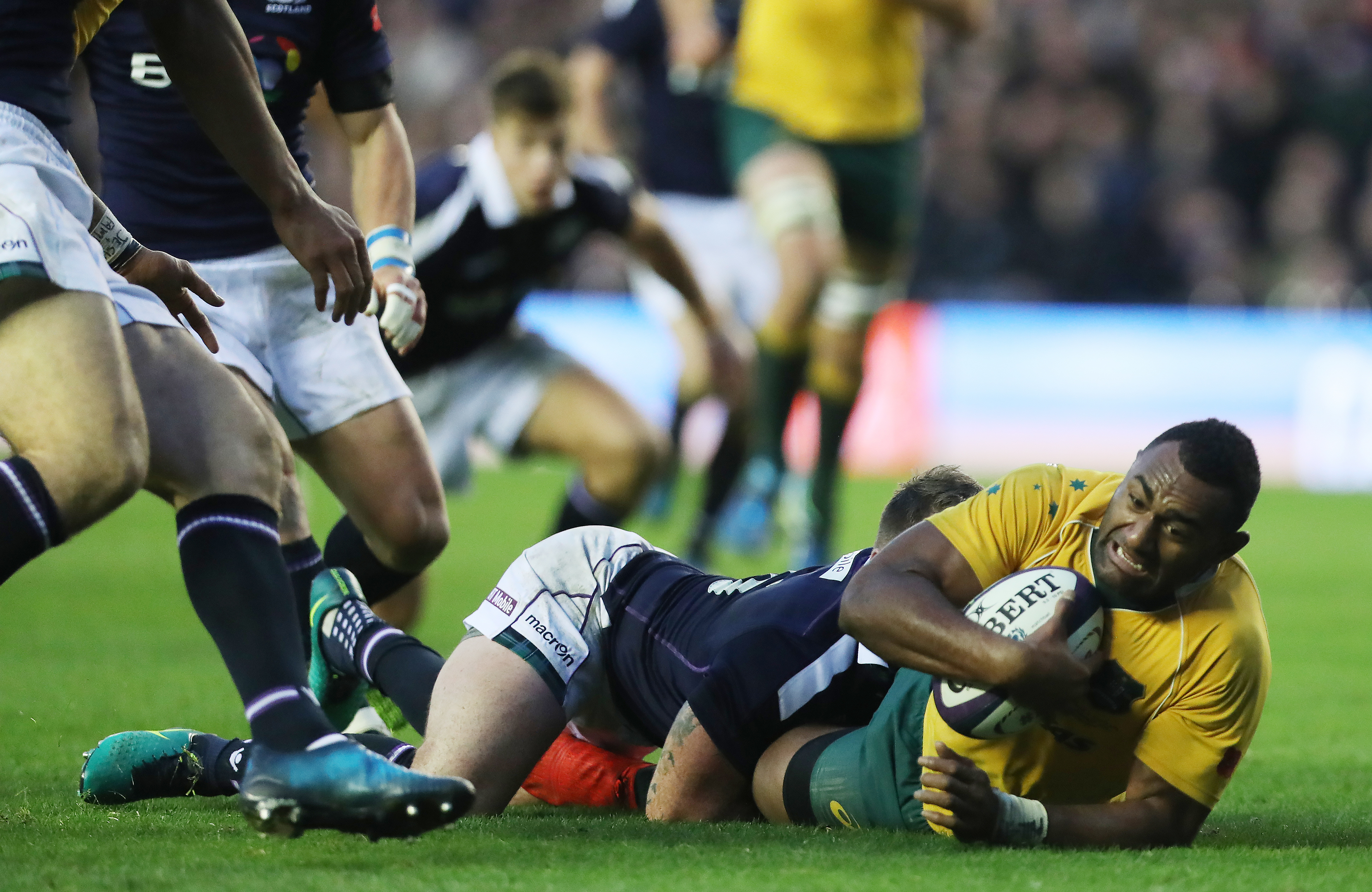 Tevita Kuridrani reaches out through Stuart Hogg's tackle to score the crucial try at Murrayfield.