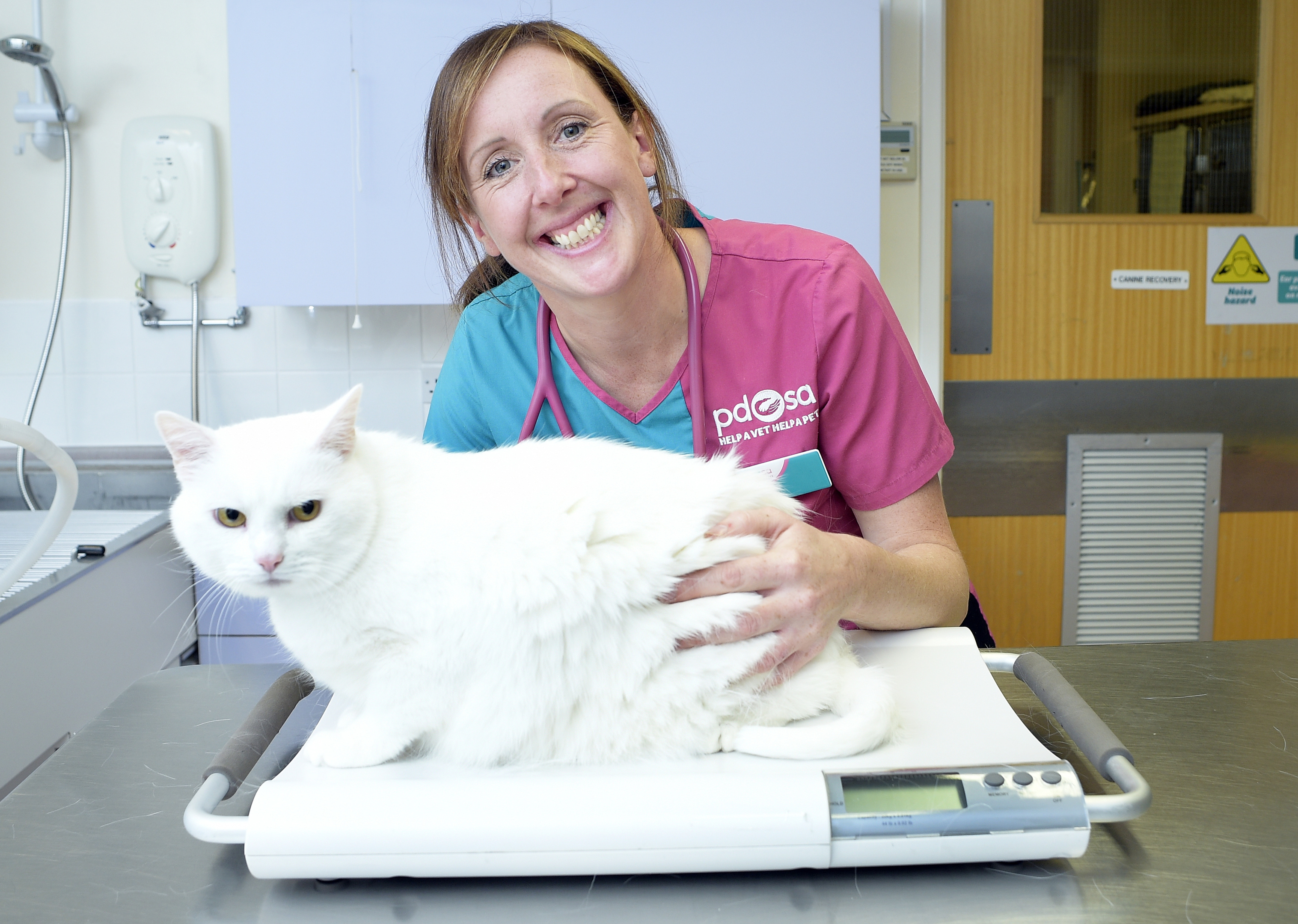 Pictured at the Dundee PDSA Pet Hospital is Entei the cat after his weight loss, with vet Fiona McLeod.