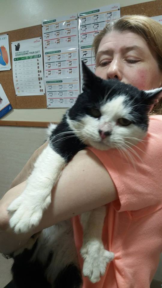 Foster carer, Margaret, with Angus, a cat saved by the voluntary group.