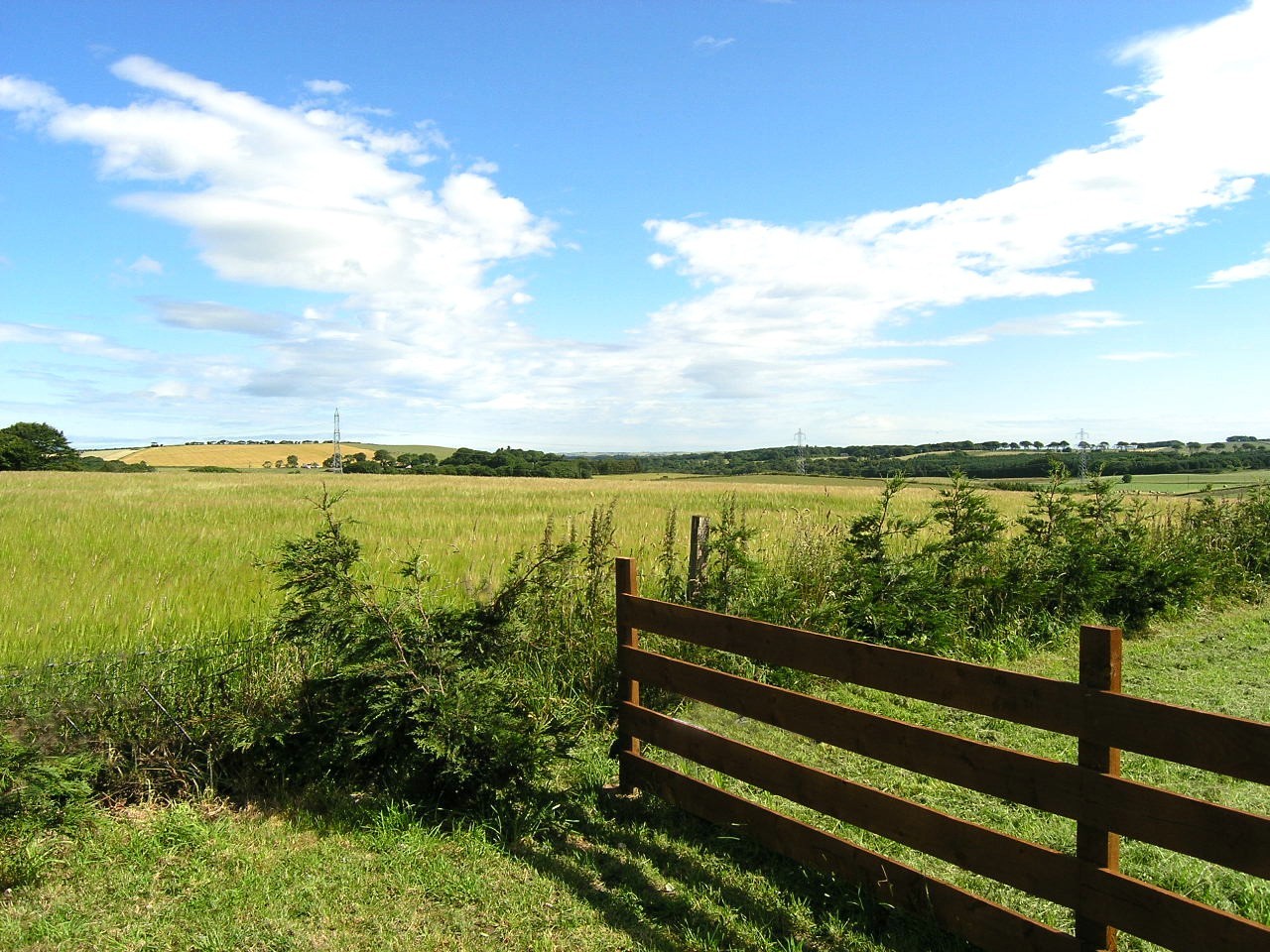 Land in public ownership has the potential to offer a route into farming