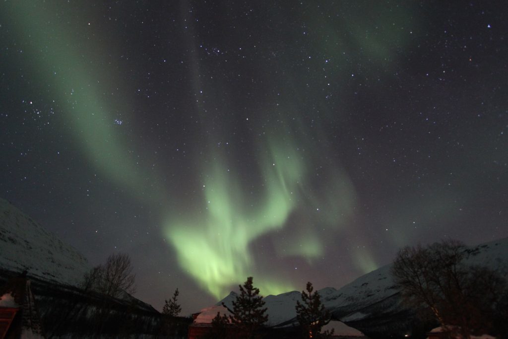 Aurora Borealis. The incredible light show is visible above the distillery.