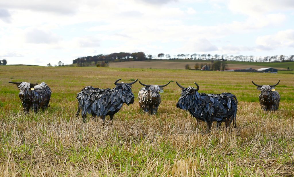 Kev is well known within the farming community as the creator behind the RHASSs 175th anniversary cows