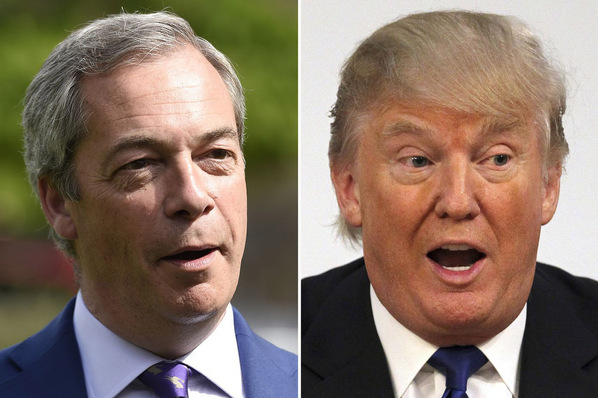 Nigel Farage and Donald Trump.