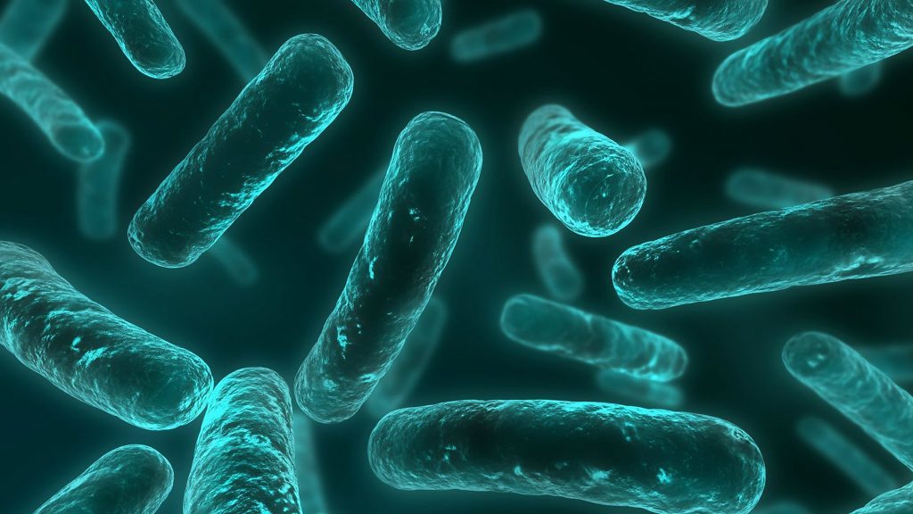 Bacteria are becoming increasingly resistant to antibiotics.