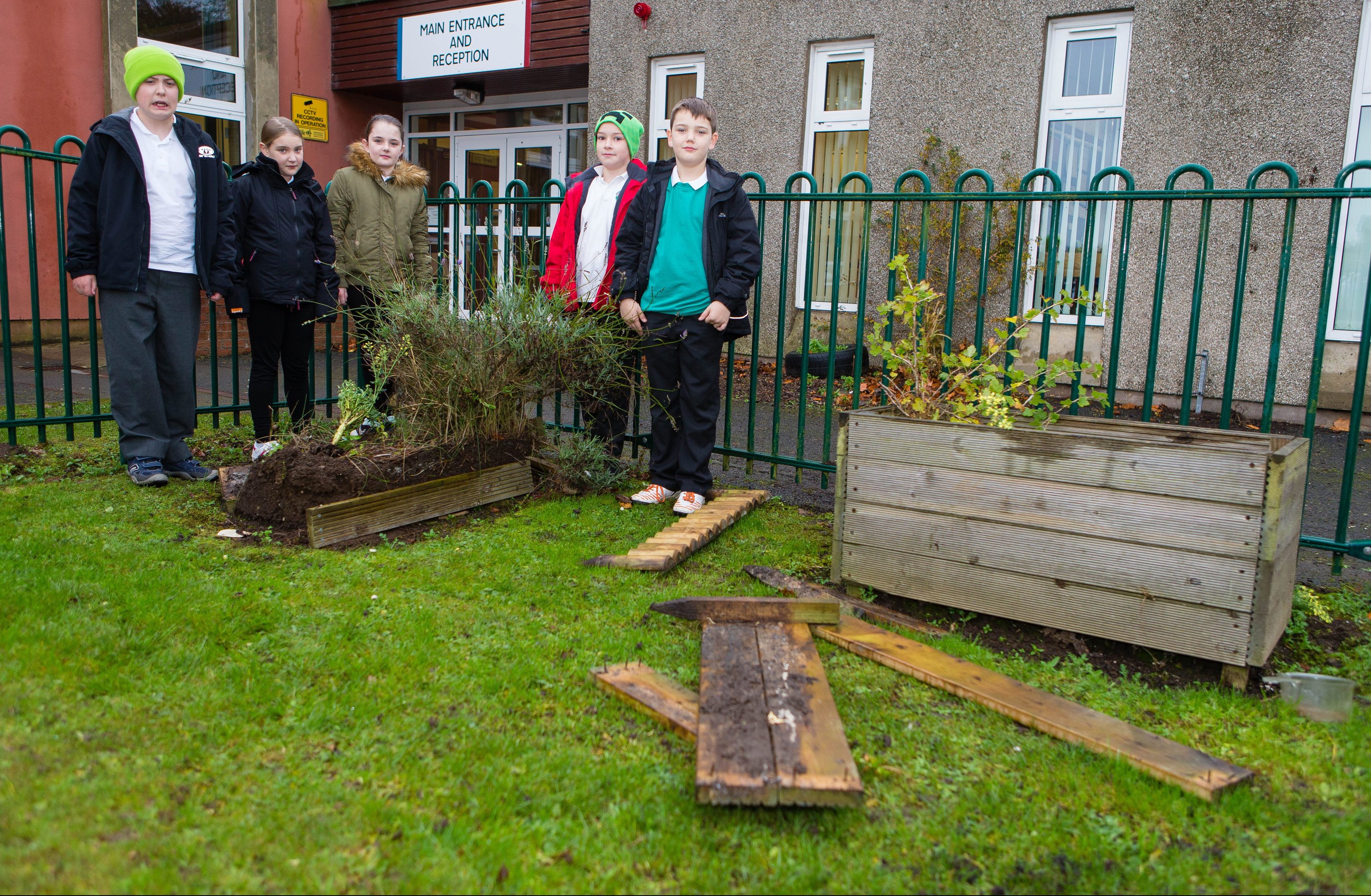 Pitcoudie Primary School in Glenrothes was subject to overnight vandalism in November. .Pictured are Frazer Dewar (9), Connor Cross (9), Kai Kerr (9), Lilly McIrvine (9) and Lauren McGrath (9)  in the gardens where the vandalism has destroyed all their hard work.