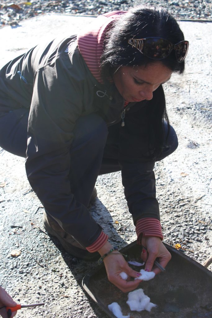 Gayle attempts to start a fire using cotton wool and a fire steel.