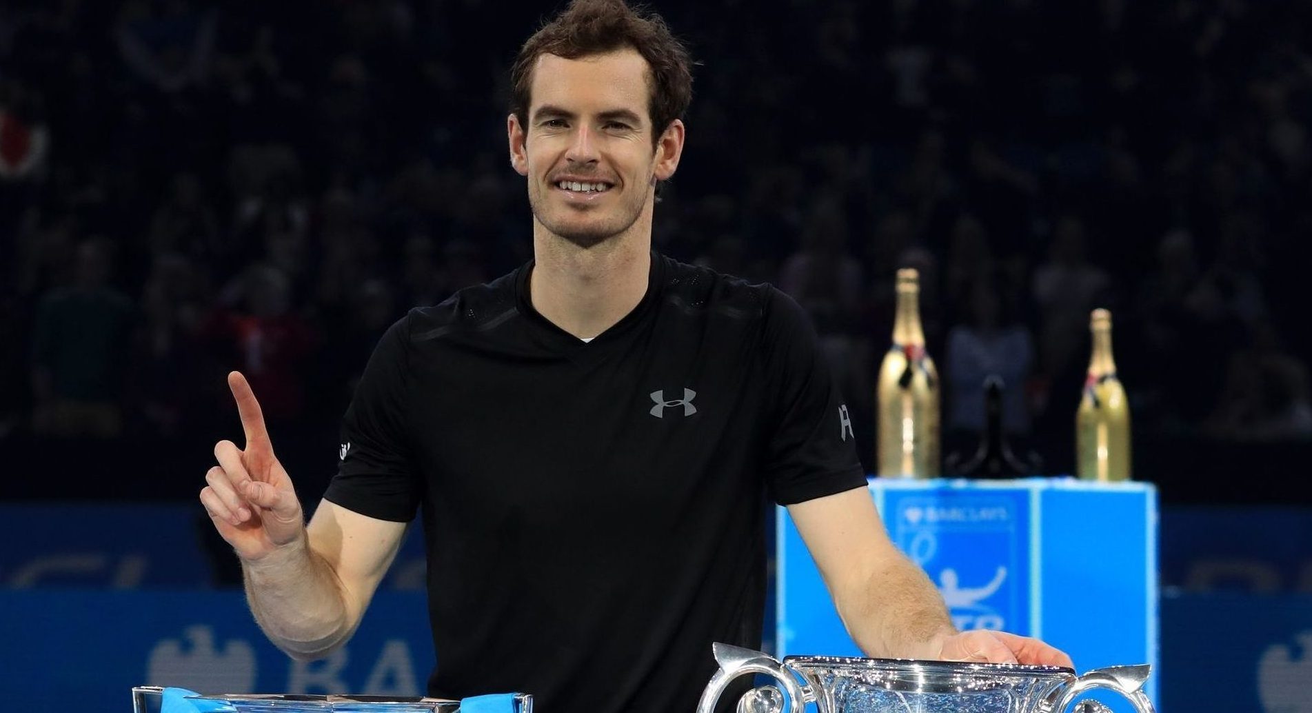 Andy Murray has reached the top of tennis in 2016.
