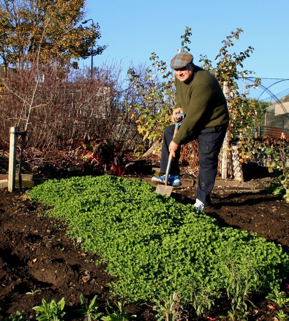 Digging in the clover green manure