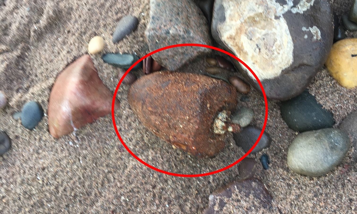 The ordnance was found with the pin still in place.