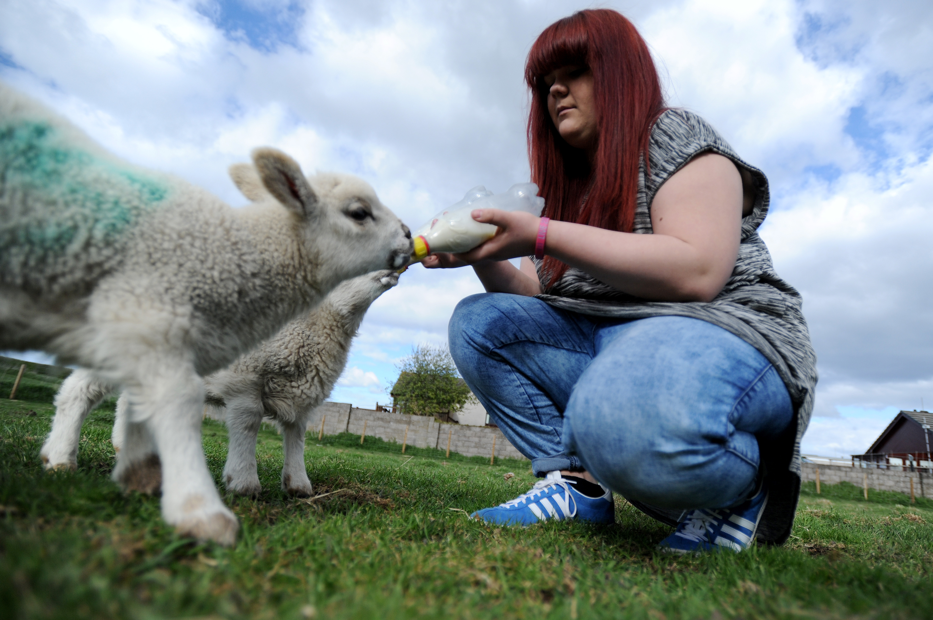 17-year-old shepherdess Kirsty Neil, from Carnoustie