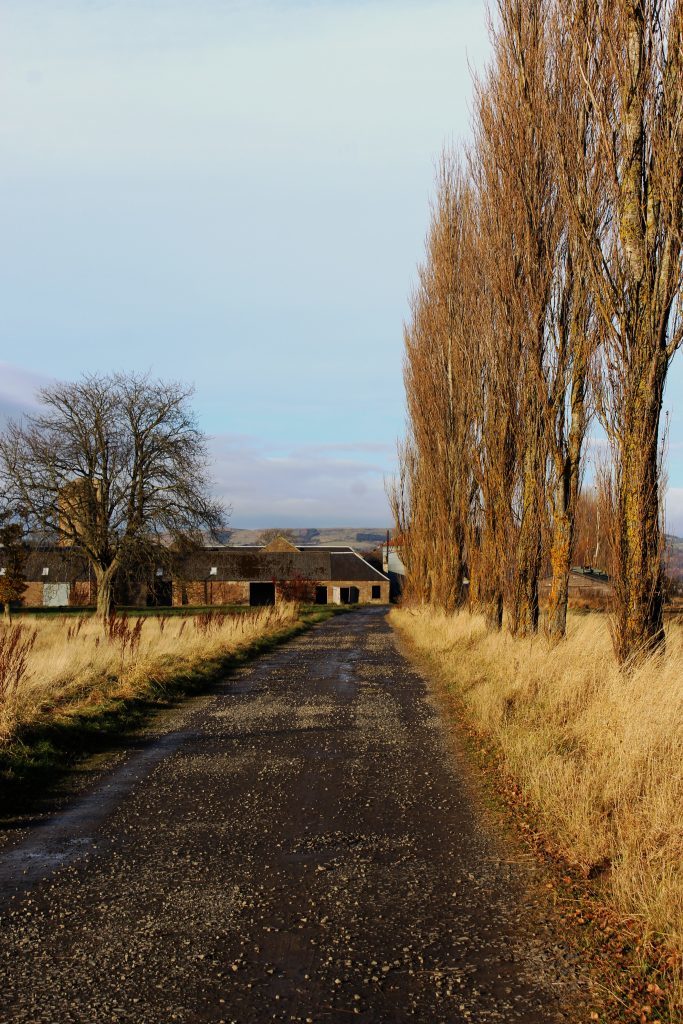 2-new-farm-near-errol-james-carron-take-a-hike