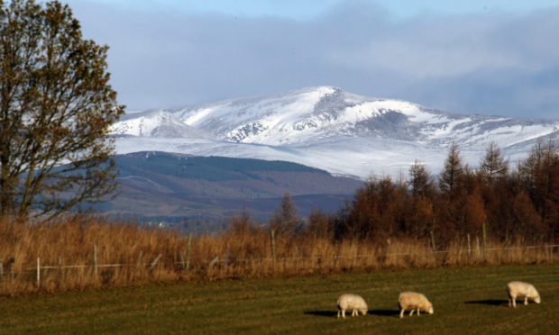 The convergence funds were intended for farmers in Scotland