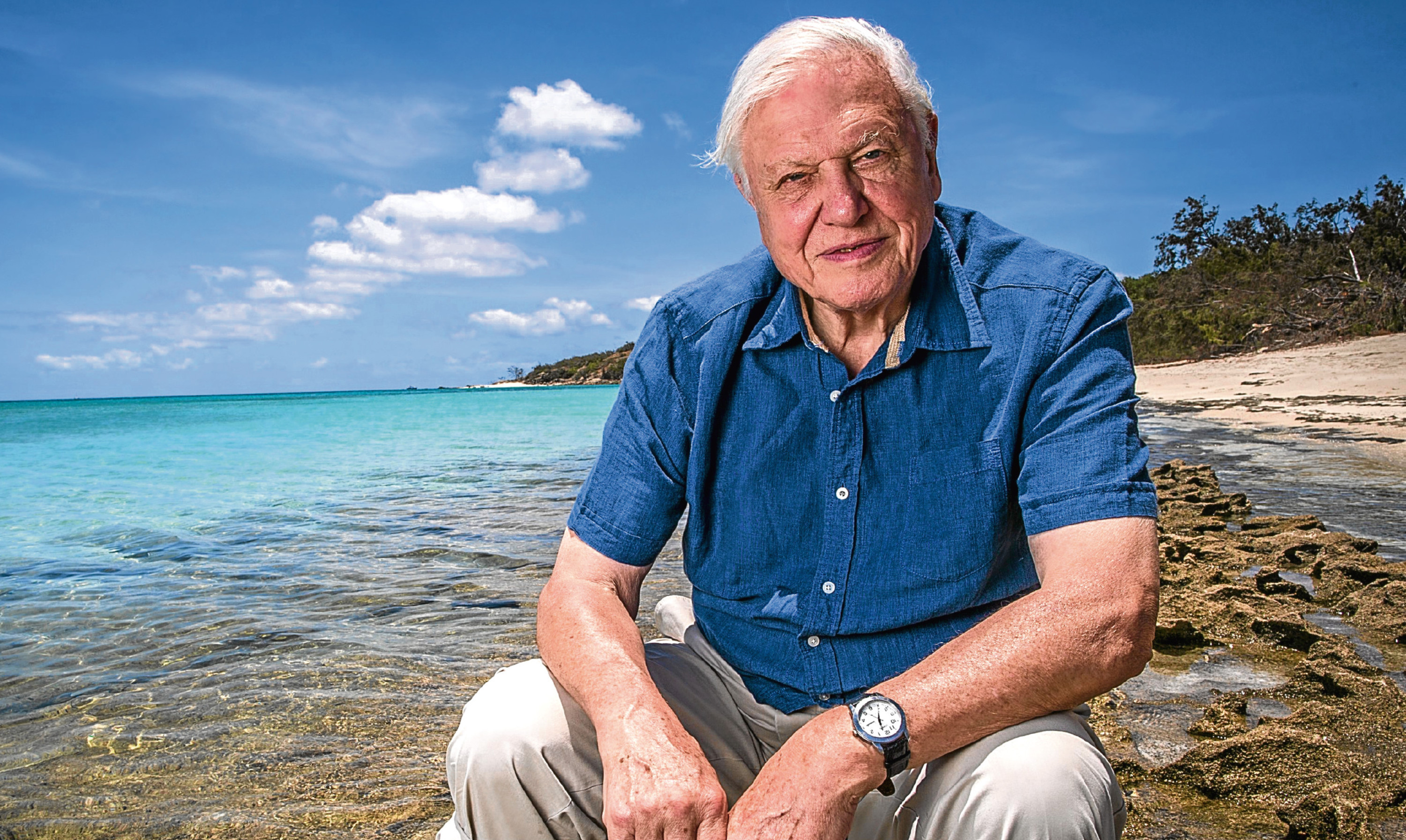 Lucy feels life for all of us would be much calmer and more reassuring if the voice of Sir David Attenborough could be heard more often.