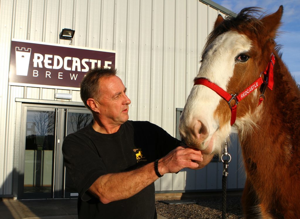 John Anderson of Redcastle Brewery, with one of his 2016 crop of Clydesdale foals, Zita