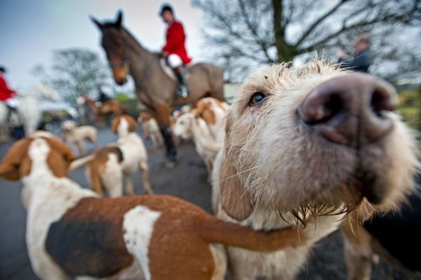 A hunting scene