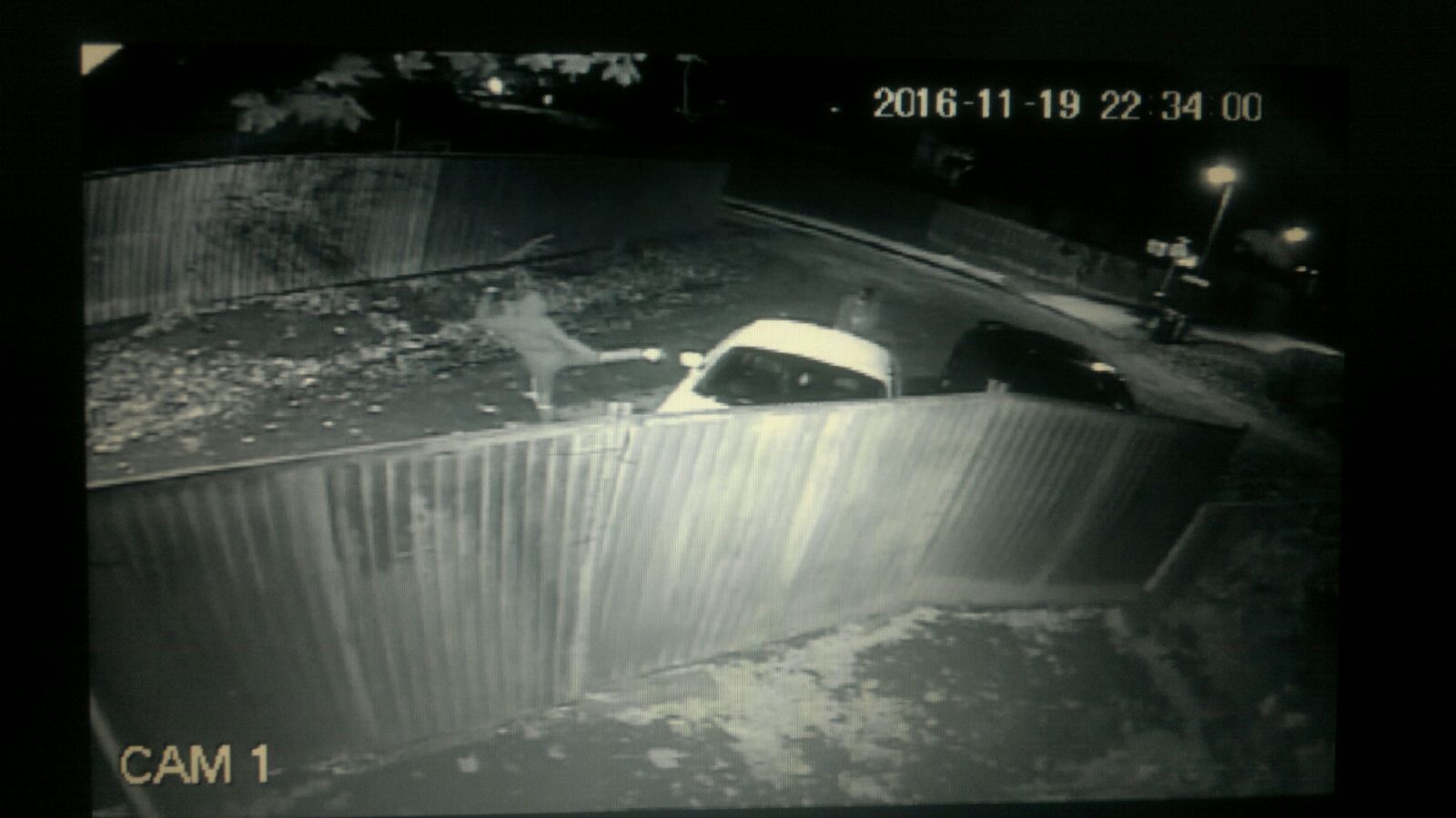 CCTV footage of people at the caravan owner's cars at 10.34pm.