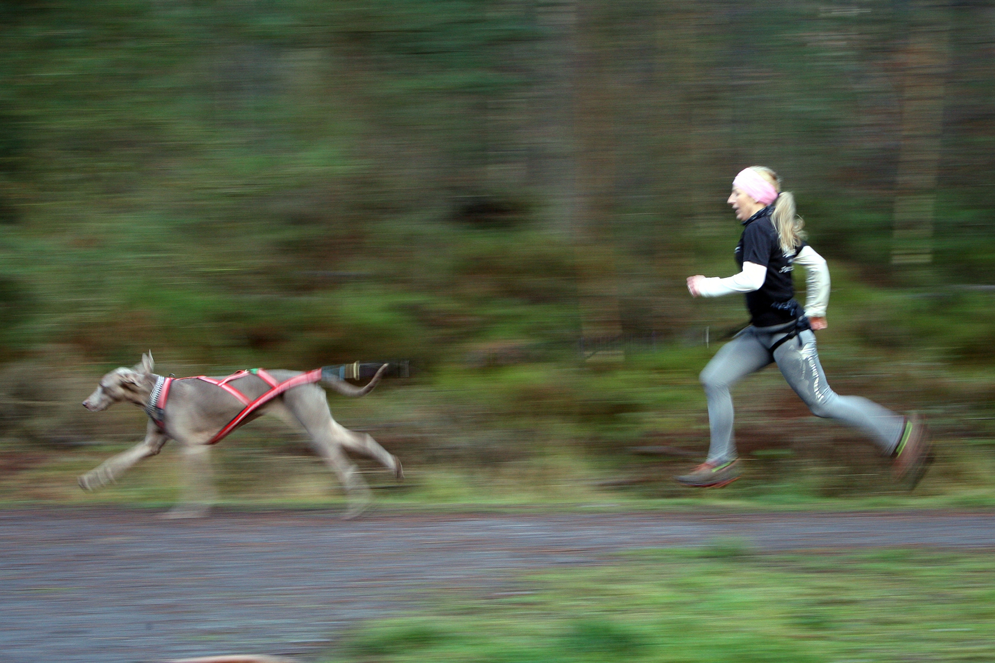 Linzi Melville and her dog Indie running in Heatherhall Woods near Ladybank.