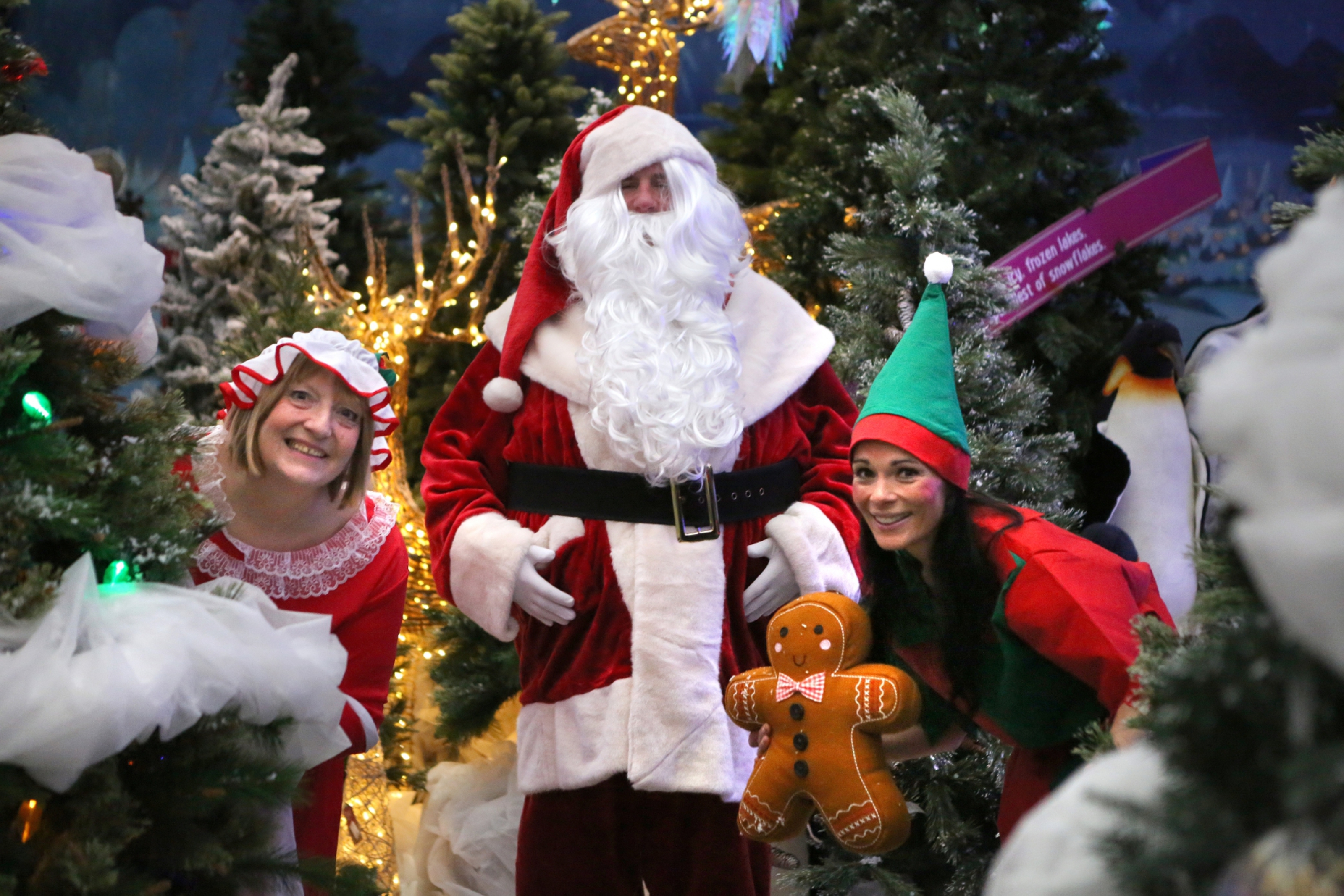 Gayle with Mrs Claus and Santa.