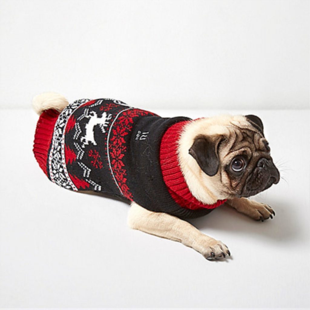 RI Dog red Christmas knit jumper, £16.
