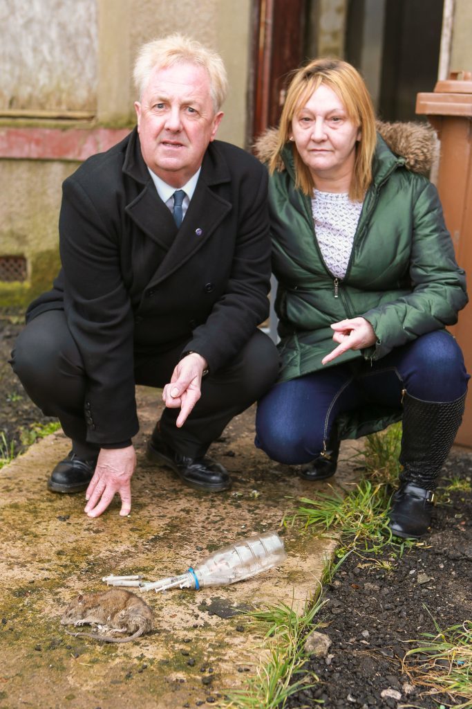 Councillor O'Brien and local resident Phamie Campbell with the body of a dead rat and needles left behind by drug users.