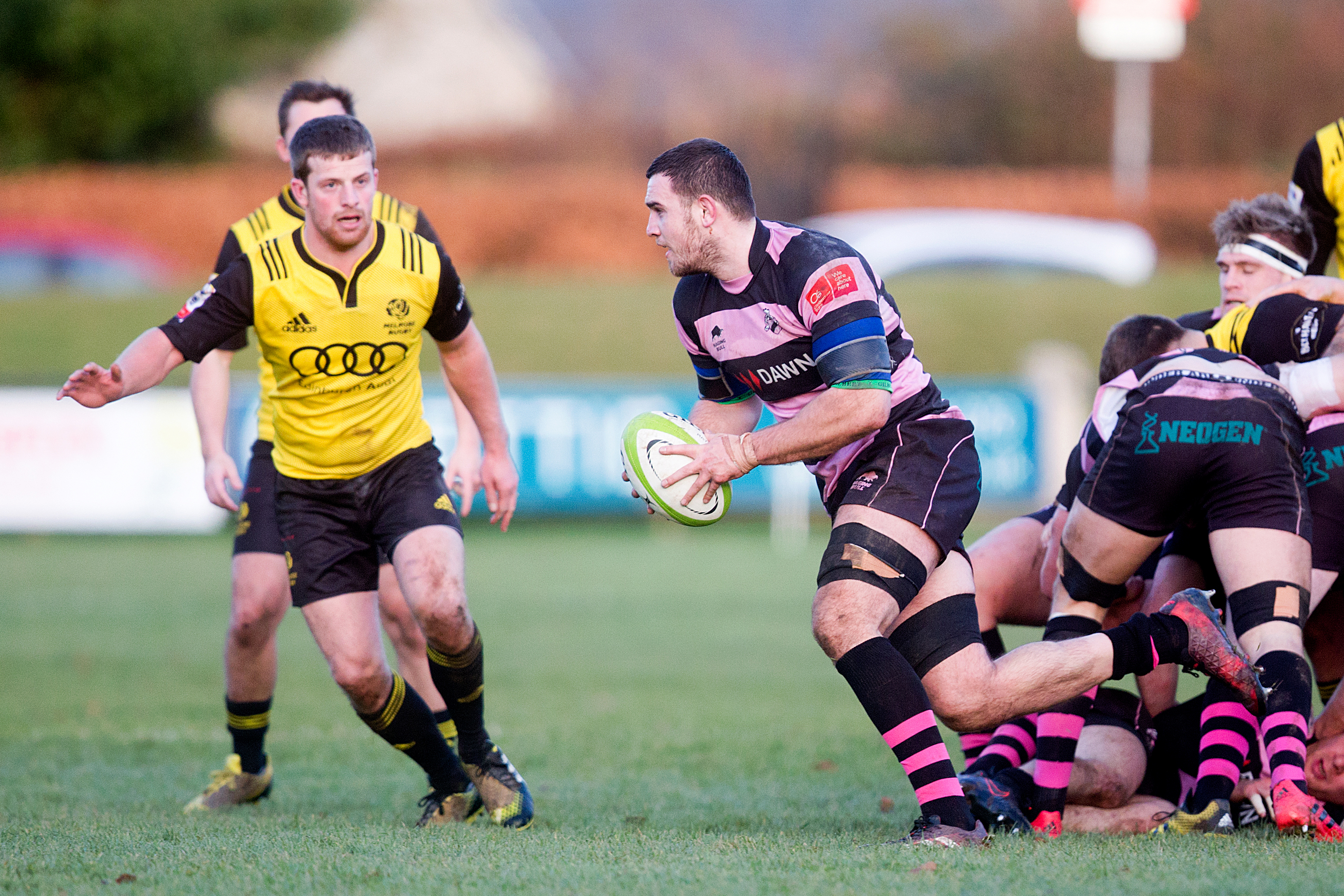 Adam Ashe made his comeback game after hip surgery for Ayr on Saturday.