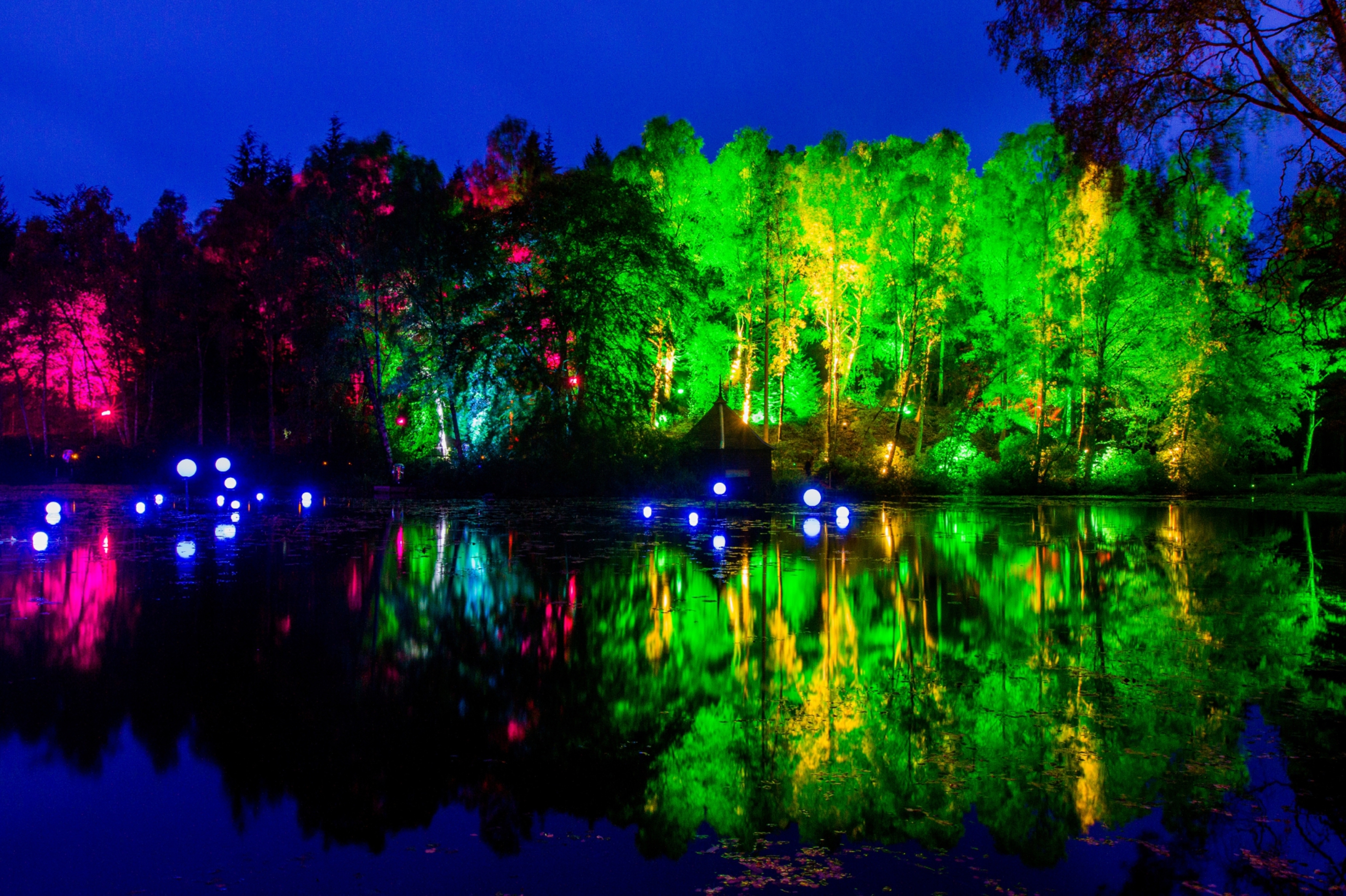 Steve MacDougall, Courier, Enchanted Forest, Faskally Woods, by Pitlochry. Scenes from the preview night. Pictured, view of the lit trees reflected in the water.