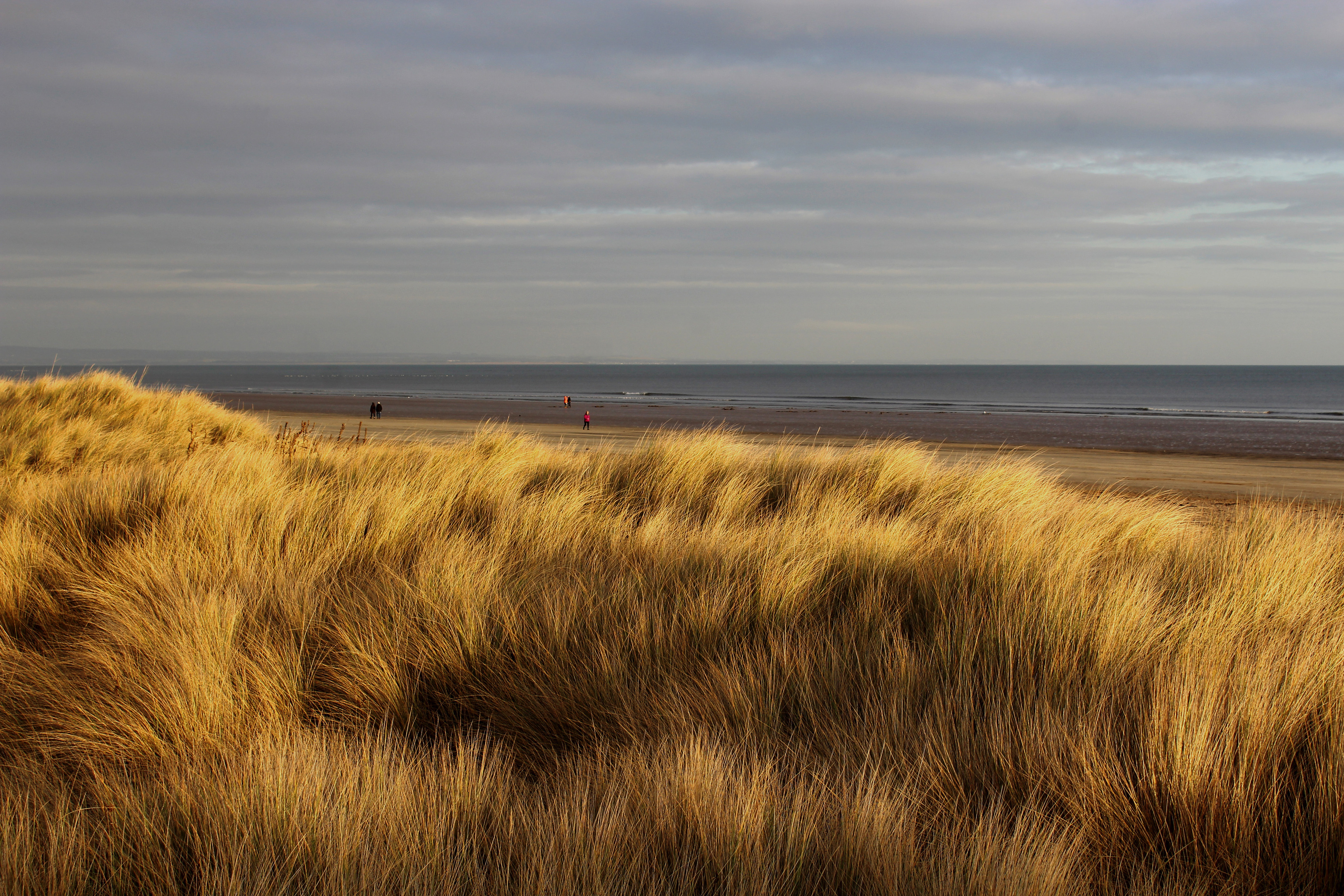 The West Sands at St Andrews was one of the clean-up sites