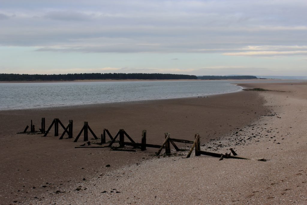 2-eden-estuary-james-carron-take-a-hike