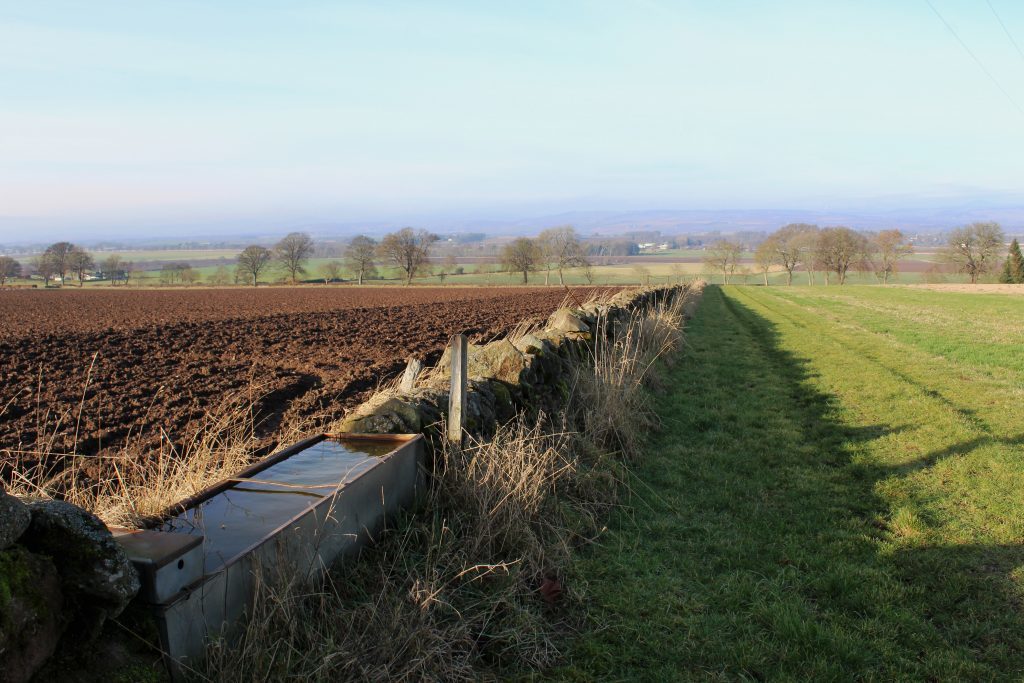 2-fields-sloping-down-into-strathmore-james-carron-take-a-hike