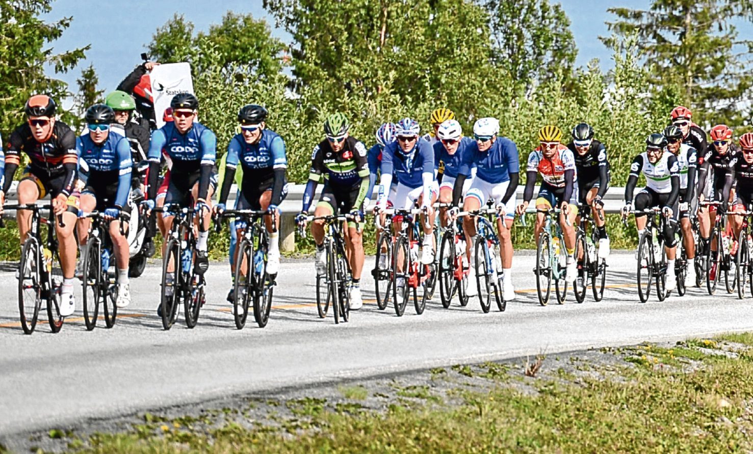 Club cyclists take part in a road race.